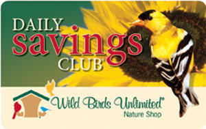 Daily Savings Club