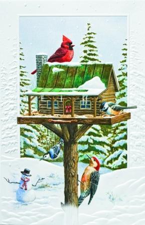 Cabin Feeder